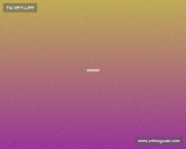 巴西排球赛事官网